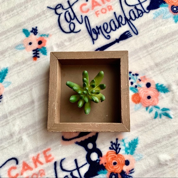 Other - 🌿 Succulent Home Decor Accent 🌿